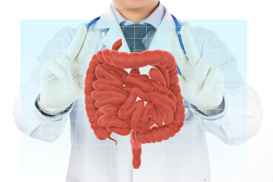 Vía rápida para la sanación intestinal