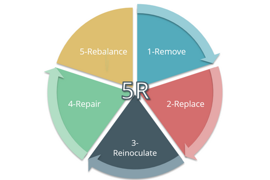 Protocolo de las 5R's