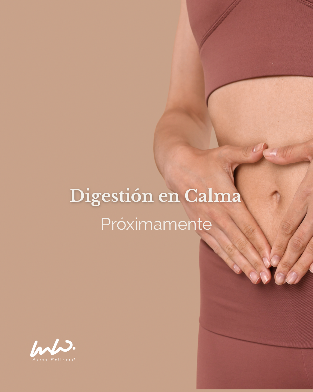 Digestión en Calma