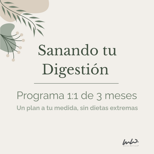 Sanando tu Digestión – Programa 1:1 de 3 Meses