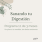 Sanando tu Digestión – Programa 1:1 de 3 Meses